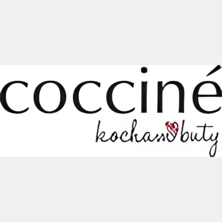 logo producenta
